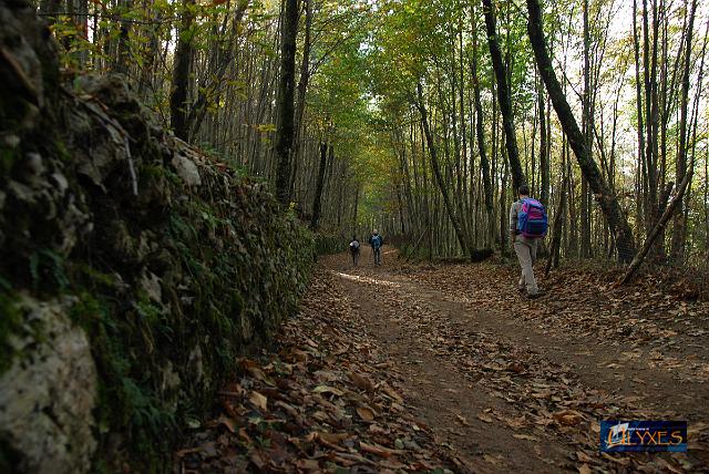 passeggiata.JPG